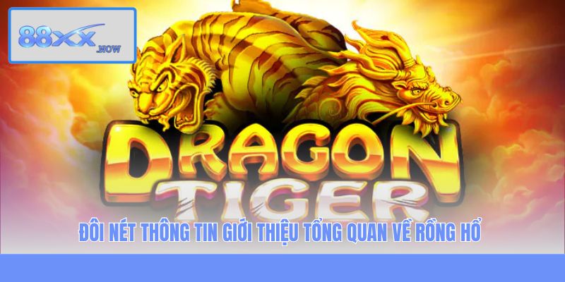 Đôi nét thông tin giới thiệu tổng quan về Rồng HổĐôi nét thông tin giới thiệu tổng quan về Rồng Hổ 